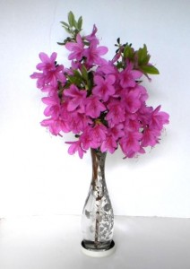 a vase of purple azaleas